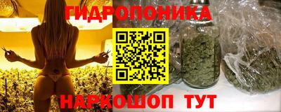 тгк Гусев