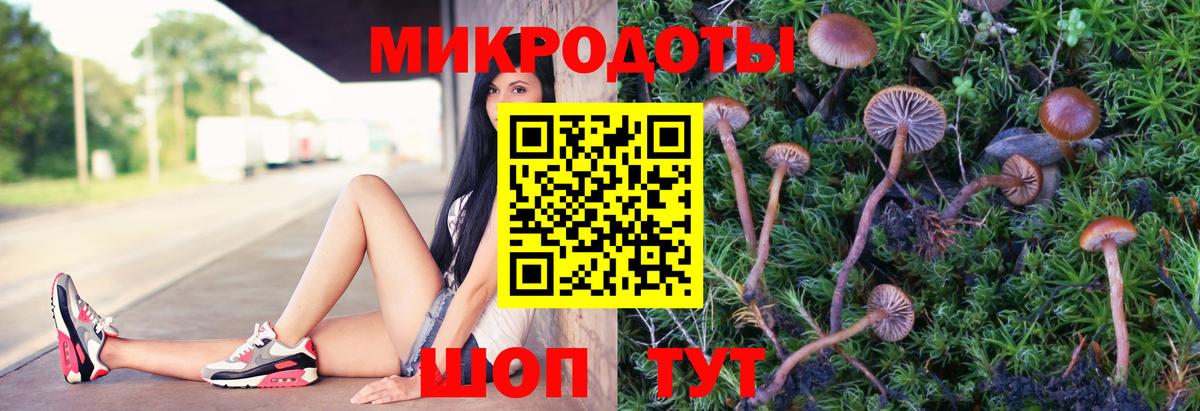 Галлюциногенные грибы Cubensis Ирбит