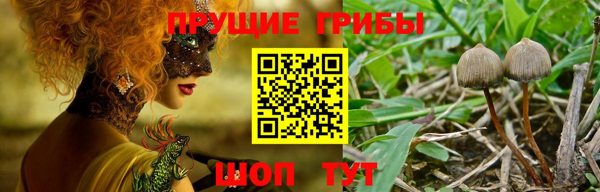 Галлюциногенные грибы прущие грибы  Псилоцибиновые грибы Psilocybine cubensis  Вход с VPN  Ирбит 